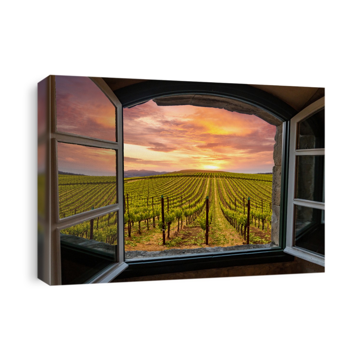 View of Napa Valley Vineyards Spring Sunrise Through a Window 