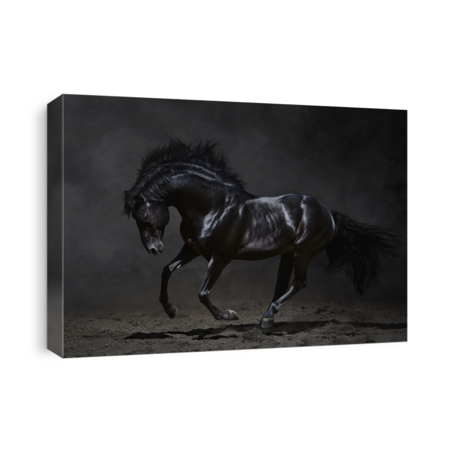 Galloping black horse on dark background.