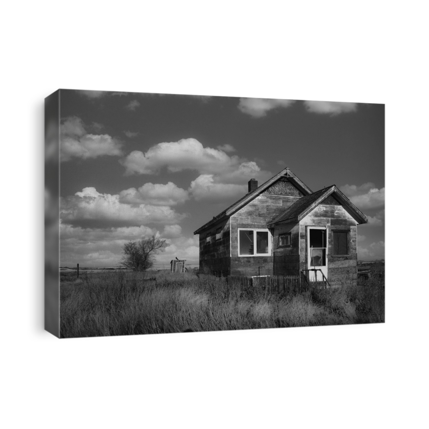 An abandoned farm house in tall weeds in a black and white summer landscape